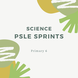 PSLE Sprints – Science