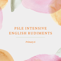 5-Day PSLE Intensive English Rudiments